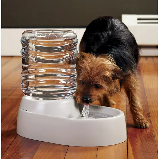 Pet Automatic Water Dispenser